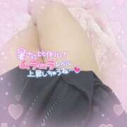 ヒメ日記 2025/05/12 15:01 投稿 せり 山口周南ちゃんこ