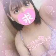 ヒメ日記 2025/05/14 21:01 投稿 せり 山口周南ちゃんこ