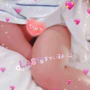 ヒメ日記 2025/08/21 15:01 投稿 せり 山口周南ちゃんこ