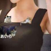 ヒメ日記 2025/07/29 08:19 投稿 愛麗/あいら ANEJE～アネージュ池袋～(ユメオト)