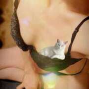 ヒメ日記 2025/07/31 10:41 投稿 愛麗/あいら ANEJE～アネージュ池袋～(ユメオト)