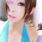 ヒメ日記 2025/08/20 11:29 投稿 愛麗/あいら ANEJE～アネージュ池袋～(ユメオト)