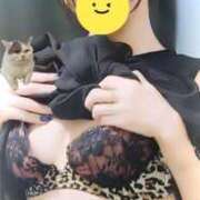 ヒメ日記 2025/09/13 09:59 投稿 愛麗/あいら ANEJE～アネージュ池袋～(ユメオト)