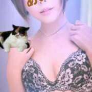 ヒメ日記 2025/11/06 13:00 投稿 愛麗/あいら ANEJE～アネージュ池袋～(ユメオト)