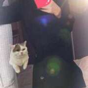 ヒメ日記 2026/02/07 20:56 投稿 愛麗/あいら ANEJE～アネージュ池袋～(ユメオト)