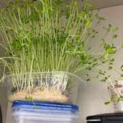 ヒメ日記 2025/05/14 09:20 投稿 えりか 横浜Cute