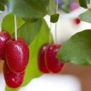 ヒメ日記 2025/09/13 08:46 投稿 えりか 横浜Cute