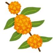 ヒメ日記 2025/10/10 08:48 投稿 えりか 横浜Cute