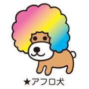 えりか 出勤🍥 横浜Cute