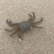 ヒメ日記 2025/05/27 13:57 投稿 ゆう LOVE MISSILE（ラブミサイル）