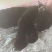 ヒメ日記 2025/06/08 13:27 投稿 ゆう LOVE MISSILE（ラブミサイル）