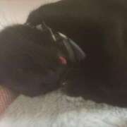 ヒメ日記 2025/06/09 19:27 投稿 ゆう LOVE MISSILE（ラブミサイル）