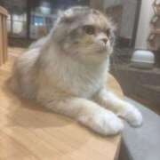 ヒメ日記 2025/07/26 20:57 投稿 ゆう LOVE MISSILE（ラブミサイル）