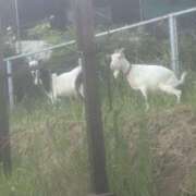 ヒメ日記 2025/07/27 18:12 投稿 ゆう LOVE MISSILE（ラブミサイル）