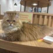 ヒメ日記 2025/07/28 13:57 投稿 ゆう LOVE MISSILE（ラブミサイル）