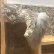 ヒメ日記 2025/07/28 17:47 投稿 ゆう LOVE MISSILE（ラブミサイル）