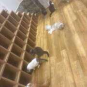 ヒメ日記 2025/07/28 19:27 投稿 ゆう LOVE MISSILE（ラブミサイル）