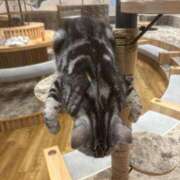 ヒメ日記 2025/08/23 08:37 投稿 ゆう LOVE MISSILE（ラブミサイル）