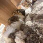 ヒメ日記 2025/08/23 15:57 投稿 ゆう LOVE MISSILE（ラブミサイル）