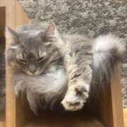 ヒメ日記 2025/08/24 00:17 投稿 ゆう LOVE MISSILE（ラブミサイル）