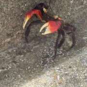 ヒメ日記 2025/09/27 15:27 投稿 ゆう LOVE MISSILE（ラブミサイル）