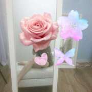 ヒメ日記 2025/11/16 11:07 投稿 ゆいか 藤沢人妻城