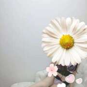 ヒメ日記 2025/11/24 22:41 投稿 ゆいか 藤沢人妻城