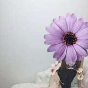 ヒメ日記 2025/11/25 20:43 投稿 ゆいか 藤沢人妻城