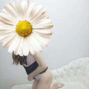 ヒメ日記 2025/12/02 11:13 投稿 ゆいか 藤沢人妻城