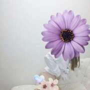 ヒメ日記 2025/12/23 21:58 投稿 ゆいか 藤沢人妻城