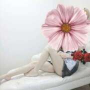 ヒメ日記 2026/01/10 11:51 投稿 ゆいか 藤沢人妻城