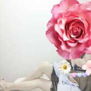 ヒメ日記 2026/02/13 20:53 投稿 ゆいか 藤沢人妻城