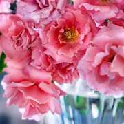 ヒメ日記 2025/06/15 17:56 投稿 湯川千裕 五十路マダム 郡山店