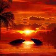 ヒメ日記 2025/07/21 16:30 投稿 湯川千裕 五十路マダム 郡山店