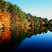 ヒメ日記 2025/11/19 18:34 投稿 湯川千裕 五十路マダム 郡山店