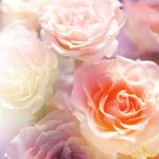 湯川千裕 口コミのお礼です♪ 五十路マダム 郡山店