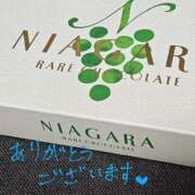 ヒメ日記 2025/05/27 00:17 投稿 そうか ハピネス東京