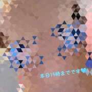 ヒメ日記 2025/09/07 07:37 投稿 そうか ハピネス東京