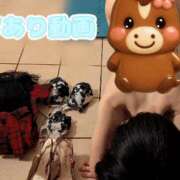 ヒメ日記 2026/01/21 06:37 投稿 そうか ハピネス東京