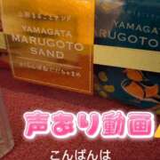 ヒメ日記 2026/03/23 00:07 投稿 そうか ハピネス東京