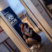 ヒメ日記 2026/03/27 13:47 投稿 そうか ハピネス東京