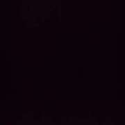 ヒメ日記 2026/04/03 05:39 投稿 そうか ハピネス東京