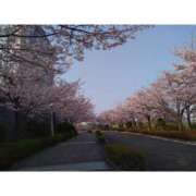 ヒメ日記 2026/04/06 23:47 投稿 そうか ハピネス東京