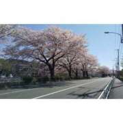 ヒメ日記 2026/04/09 06:09 投稿 そうか ハピネス東京