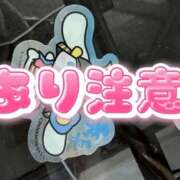 ヒメ日記 2026/08/22 05:37 投稿 そうか ハピネス東京