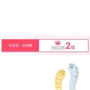 ヒメ日記 2026/09/29 21:17 投稿 そうか ハピネス東京