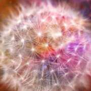 ヒメ日記 2025/05/24 23:05 投稿 咲心(えみ) グランドオペラ横浜