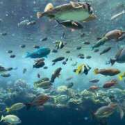 ヒメ日記 2025/05/31 12:58 投稿 咲心(えみ) グランドオペラ横浜