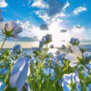 ヒメ日記 2025/07/29 22:24 投稿 咲心(えみ) グランドオペラ横浜