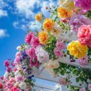 ヒメ日記 2025/07/30 18:21 投稿 咲心(えみ) グランドオペラ横浜